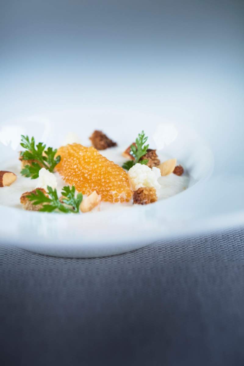 Burgundy by Matthieu photo 7